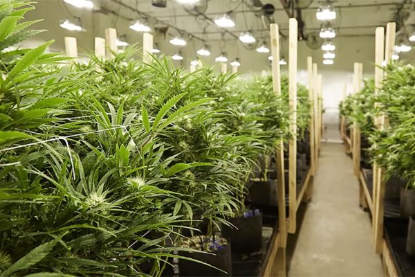 setembro-chegou-cm-adv